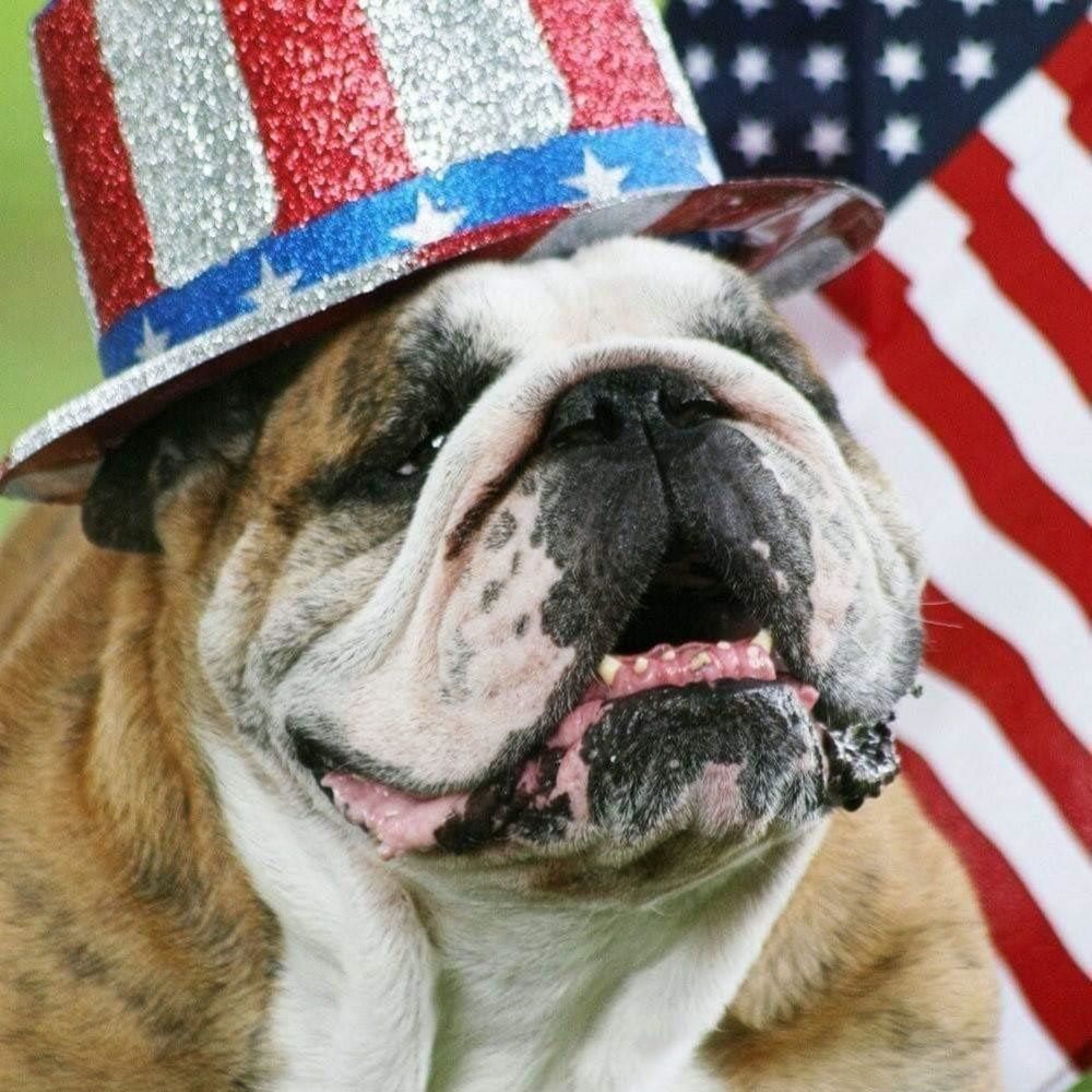 Meet your Posher, Krista